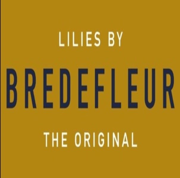 Nieuwe kweker - Bredefleur  - Afbeelding