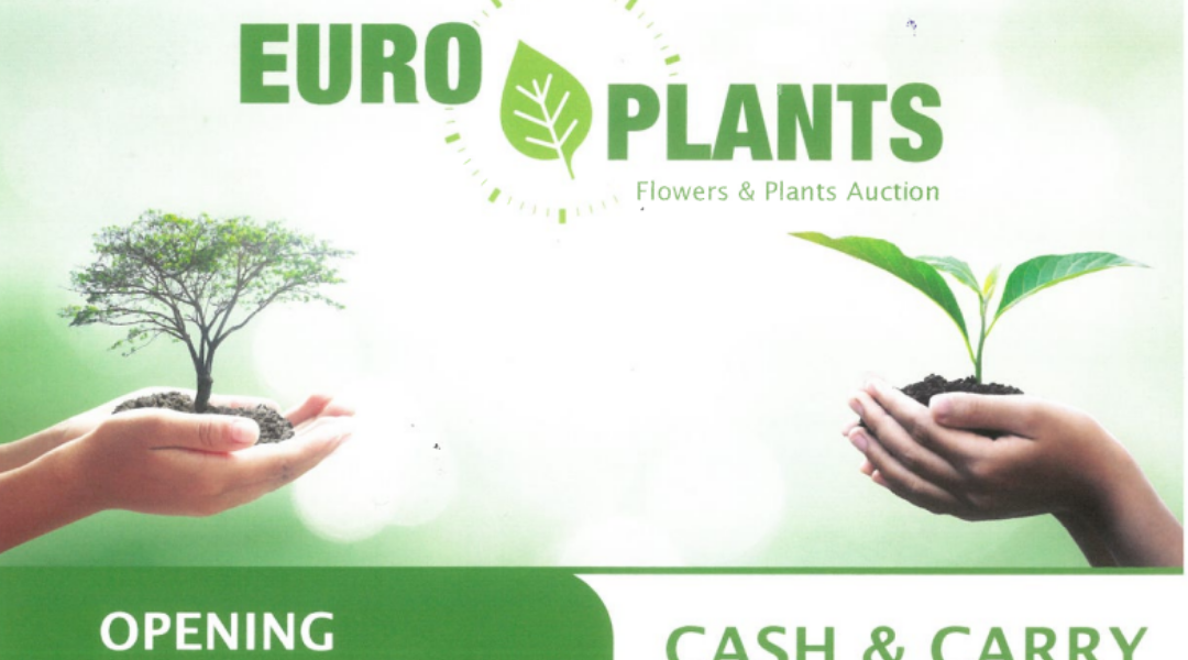 Ouverture Cash & Carry Plantes - Afbeelding