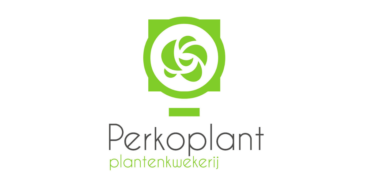 Pensioen trouwe aanvoerder – Perkoplant - Afbeelding