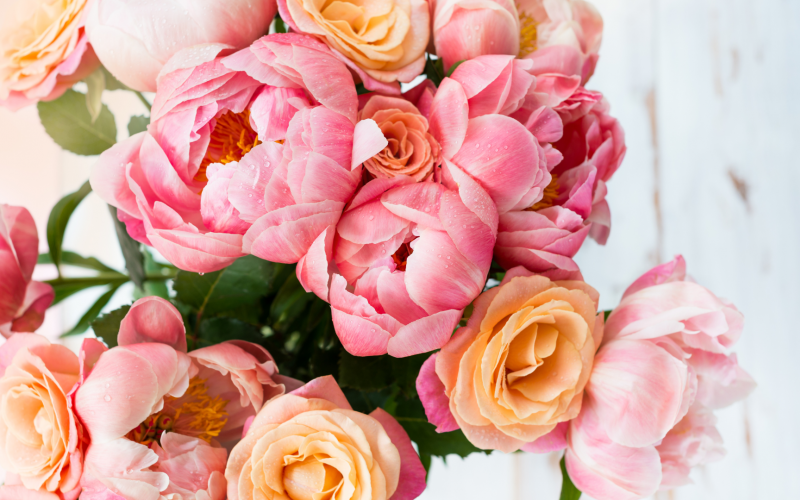 The auction for flowers and plants in Belgium *