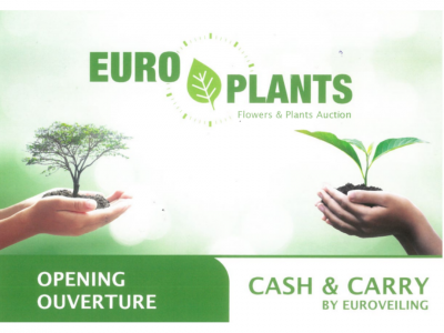 Ouverture Cash & Carry Plantes