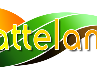PlattelandsTV Reportage